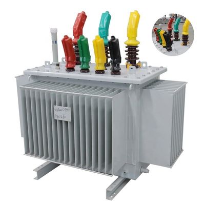 6kV 11kV Transformer distribusi daya terisi minyak listrik terendam untuk tiga fase