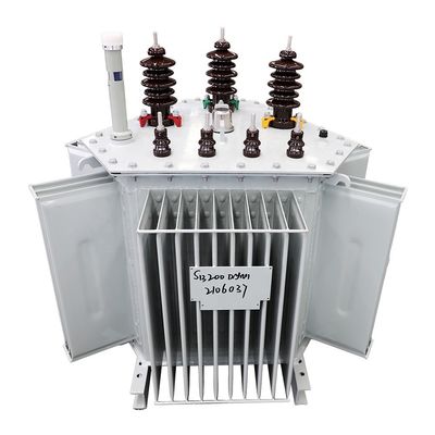 300 kva 3 fase 11kv/0.4kv Minyak diisi 400kv Power Transformer dengan Frekuensi 50/60Hz